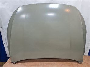 {{photo.Alt || photo.Description || 'Капот Geely Emgrand'}}